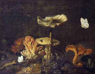 Nature morte aux champignons et aux papillons